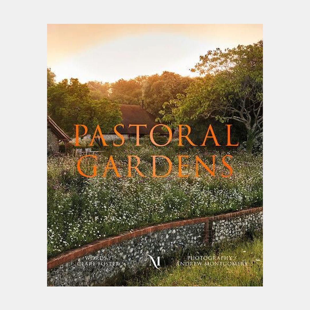 Image may contain: Plant, Vegetation, Land, Nature, Outdoors, Tree, Woodland, Grass, Path, Photography, Scenery, and Road