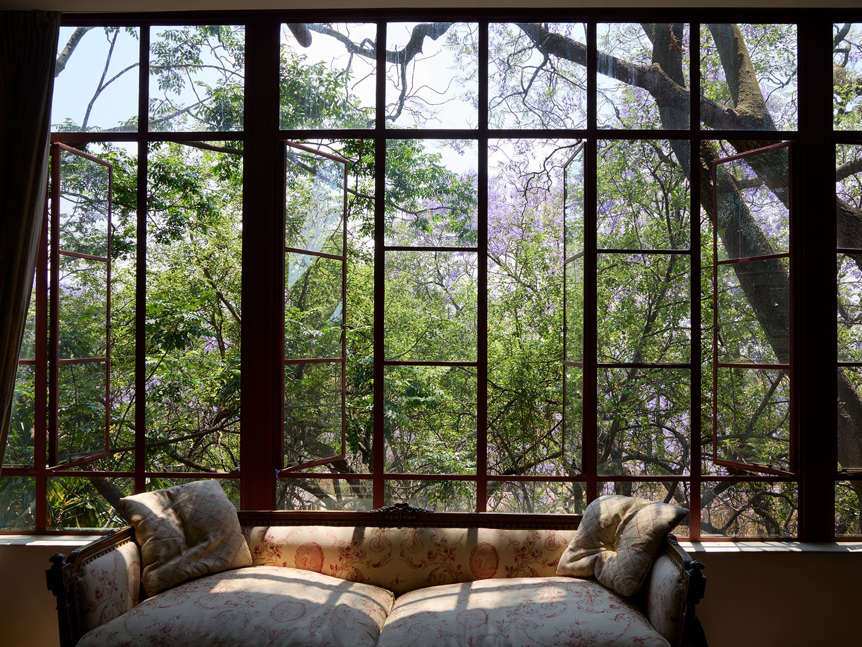 William Kentridge studio garden