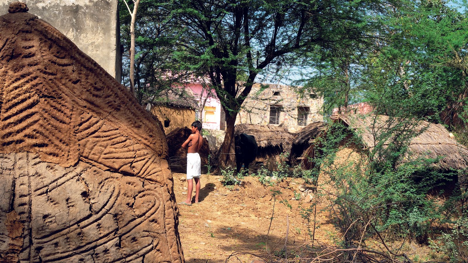 These decorated cow-dung huts in Rajasthan are finely crafted masterpieces
