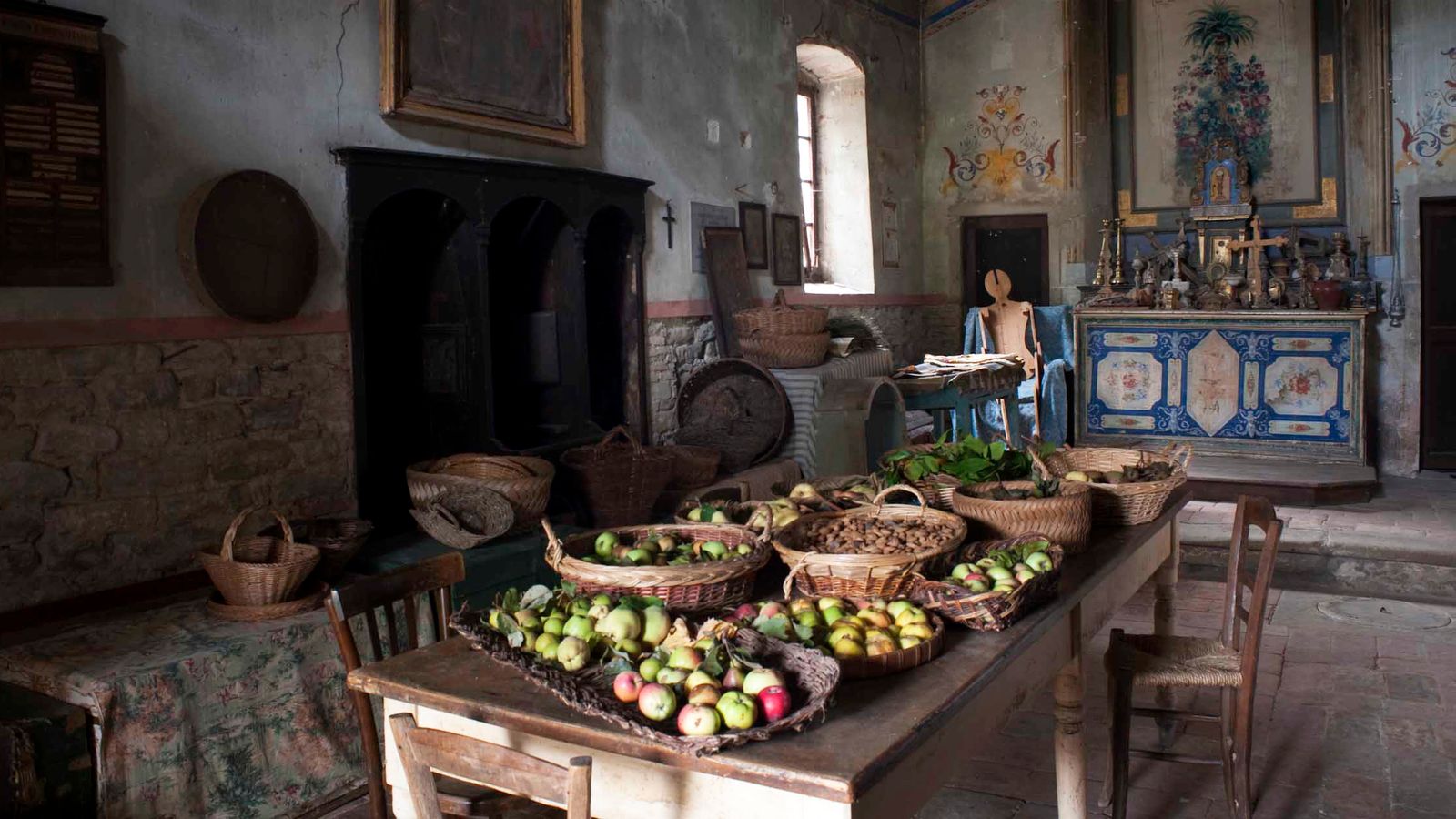 This ‘Arboreal archeologist’ has spent a lifetime searching for forgotten species of tree