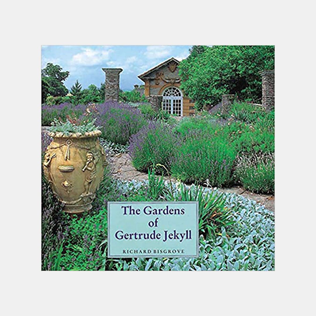 Image may contain: Jar, Plant, Planter, Potted Plant, Pottery, Vase, Garden, Nature, Outdoors, Vegetation, Backyard, and Yard