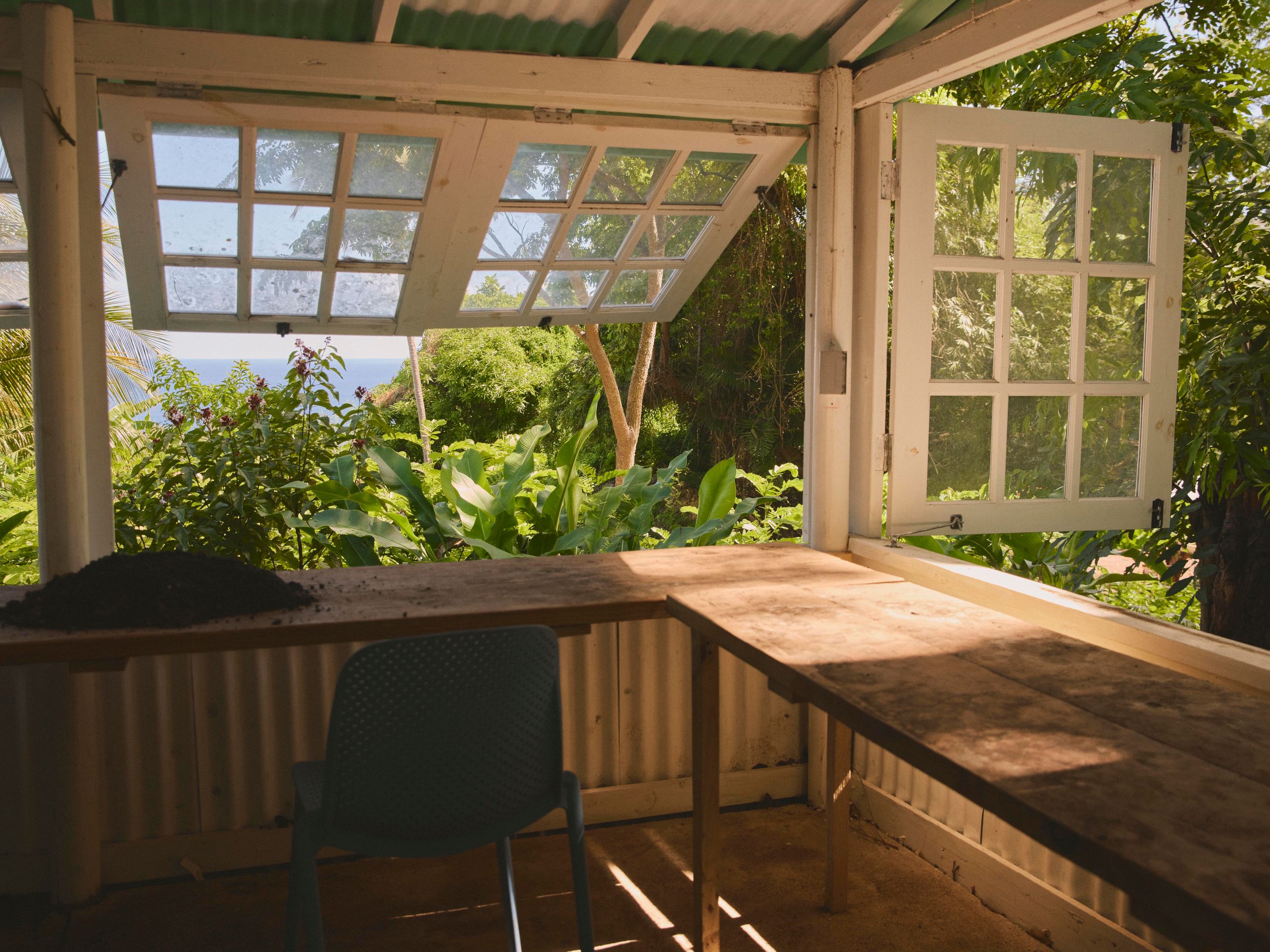 Andromeda Botanic Gardens Barbados