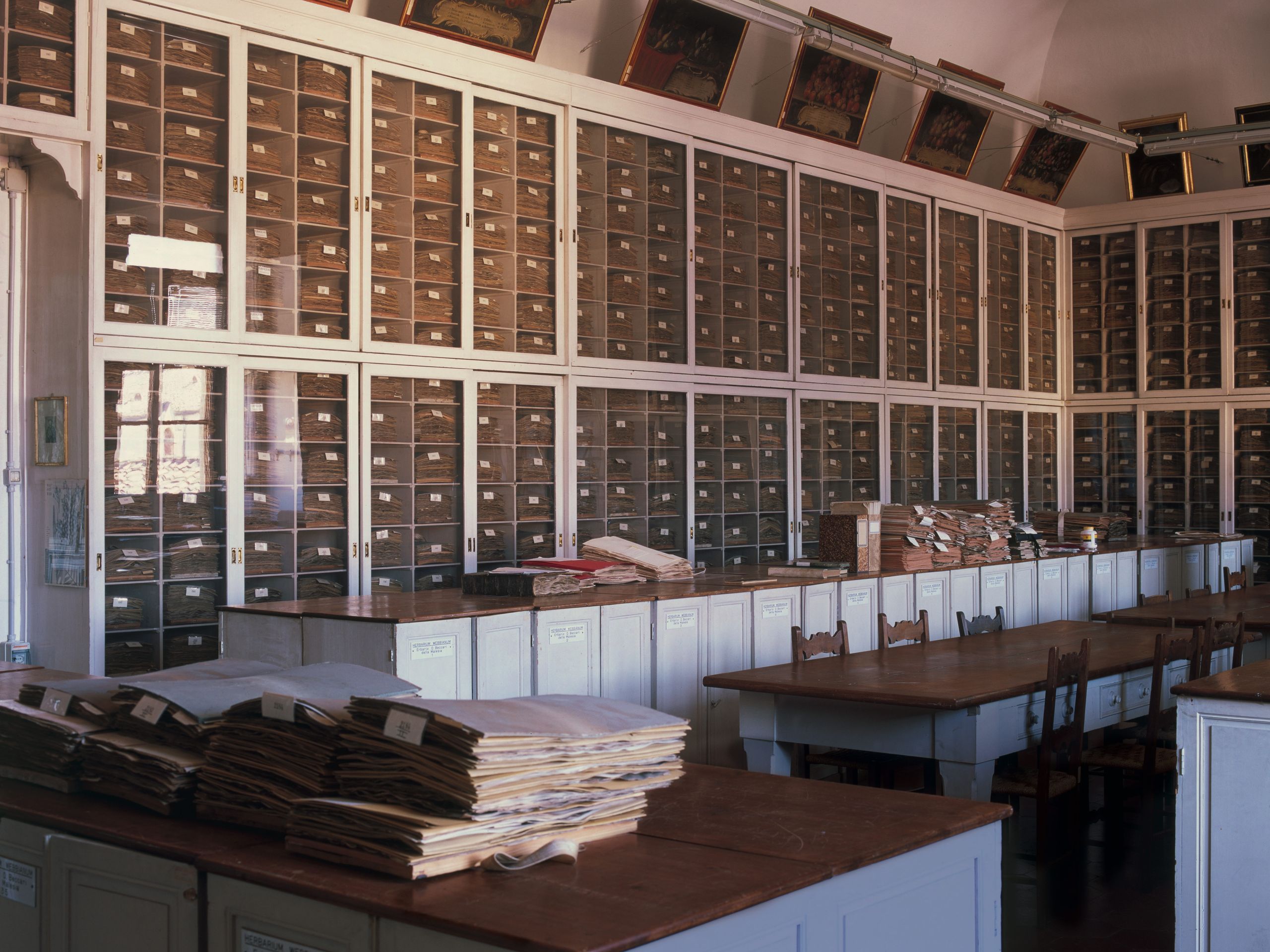 Florence Botanical Museum Image may contain Alcohol Beverage Liquor Wine Art Painting Wine Cellar Person Chair and Furniture