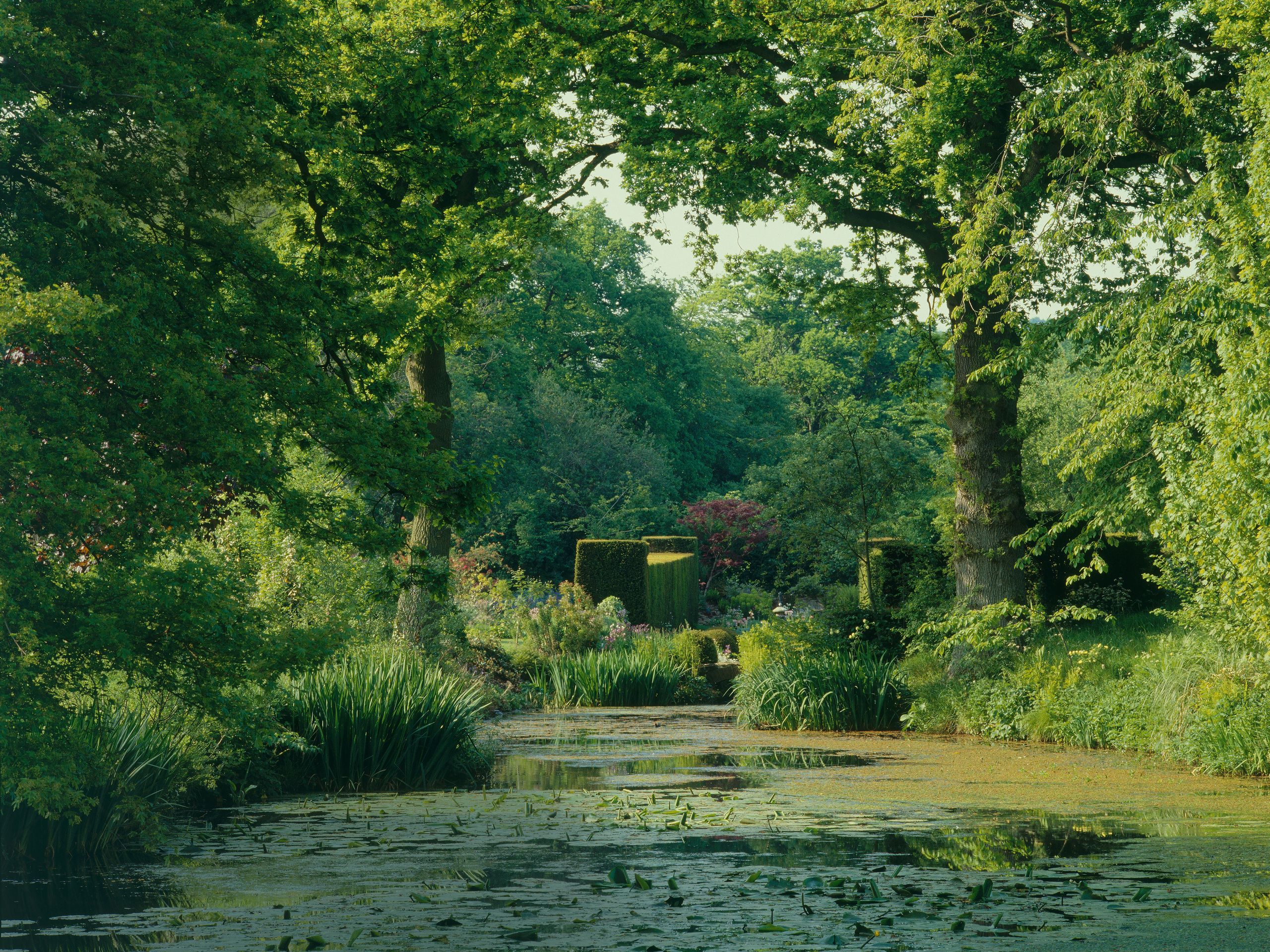 Yew walk at Vaan garden